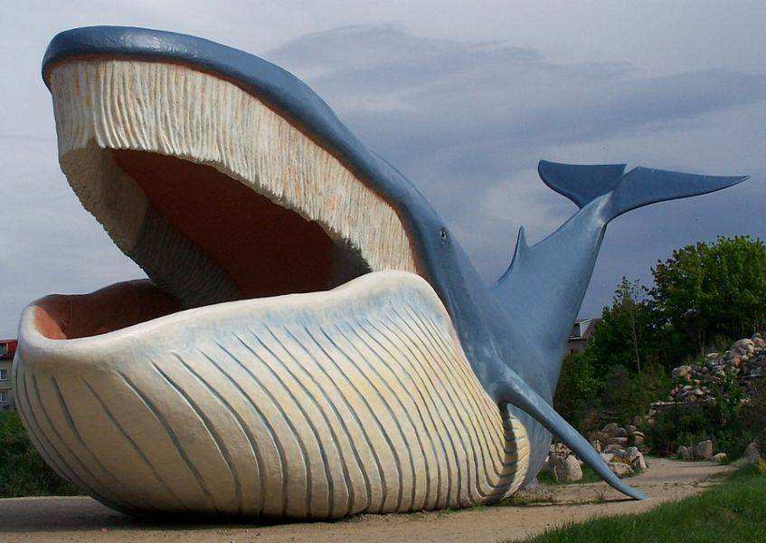Ocean Park - Wieloryb we Władysławowie